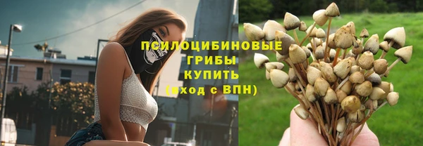 Альфа ПВП Балабаново