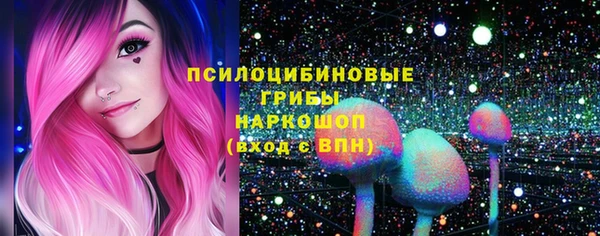 Альфа ПВП Баксан