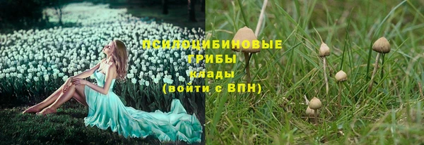 Альфа ПВП Балабаново